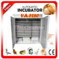 Fully Automatic Digital Egg Incubator for Quail Eggs